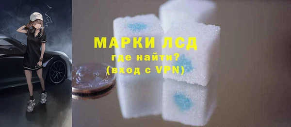 стаф Снежногорск
