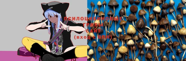 дмт Семилуки